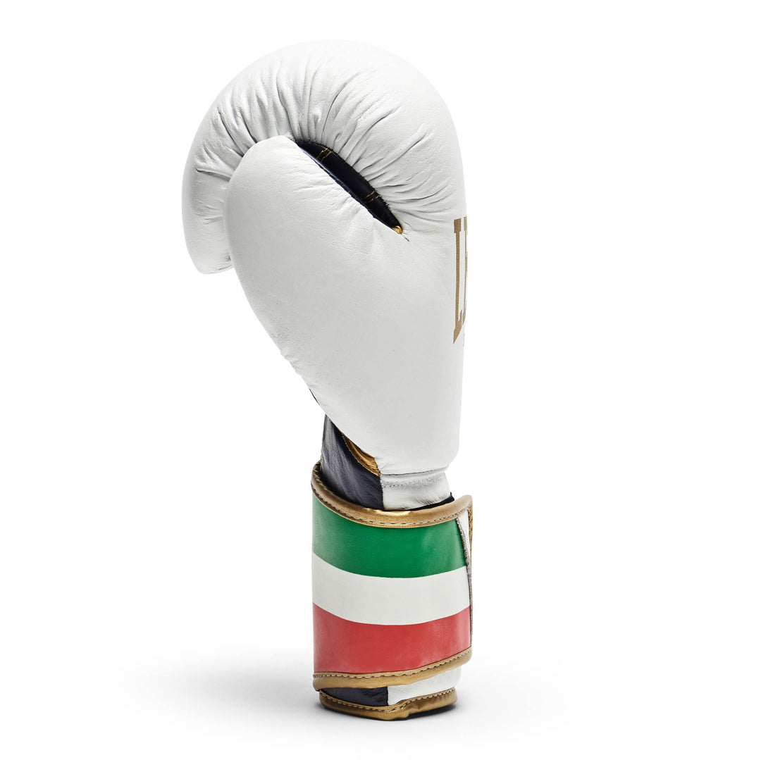 Leone GN039 Boxhandschuhe Italy 47
