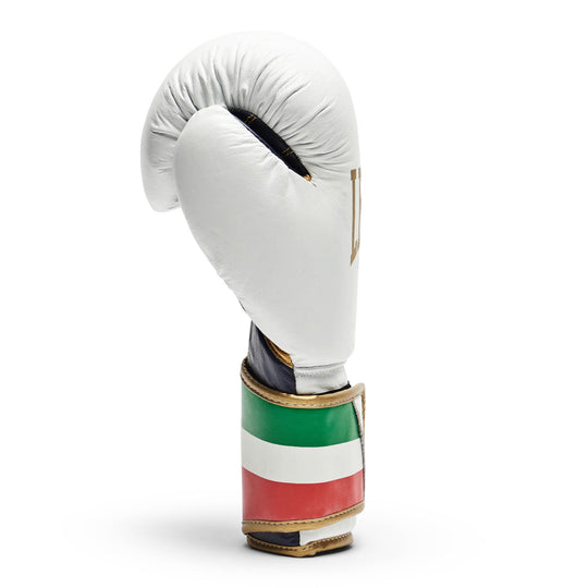Leone GN039 Boxhandschuhe Italy 47