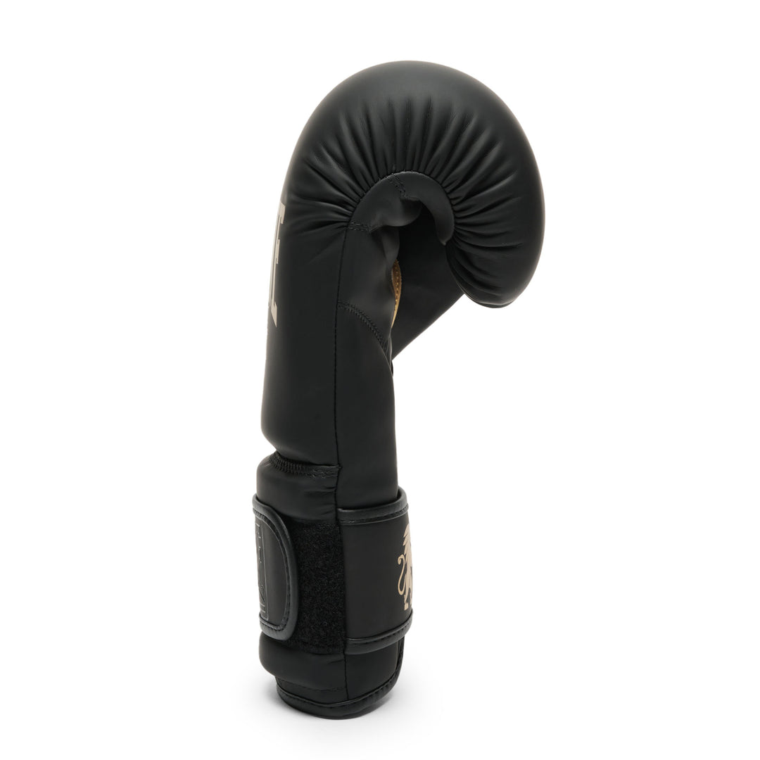 Leone GN059 Boxhandschuhe