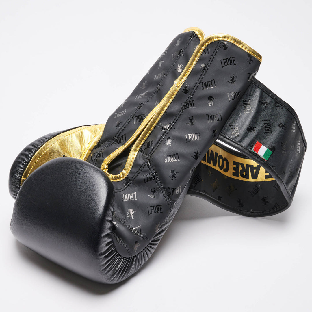 Leone GN220 Boxhandschuhe DNA