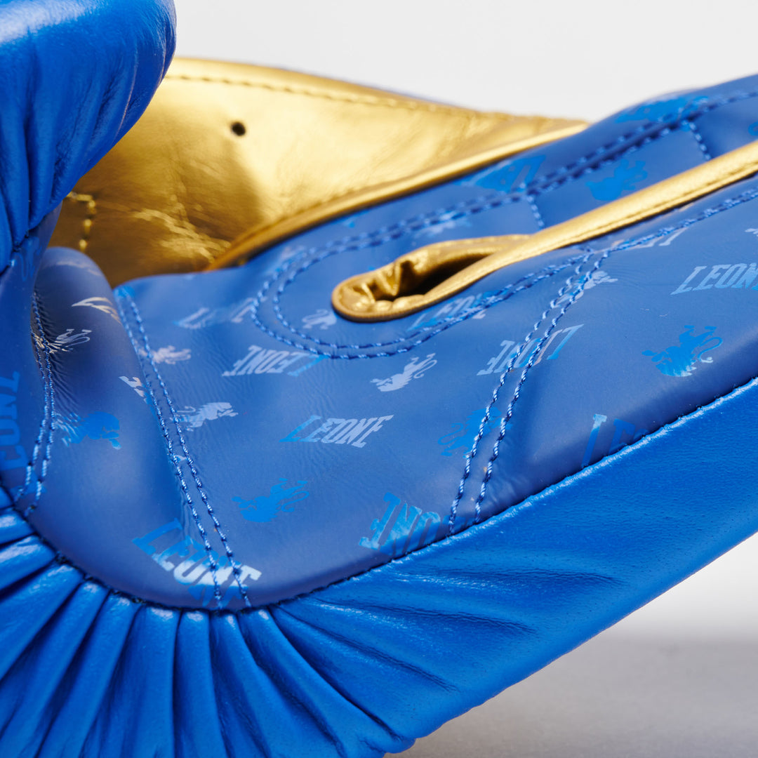 Leone GN220 Boxhandschuhe DNA