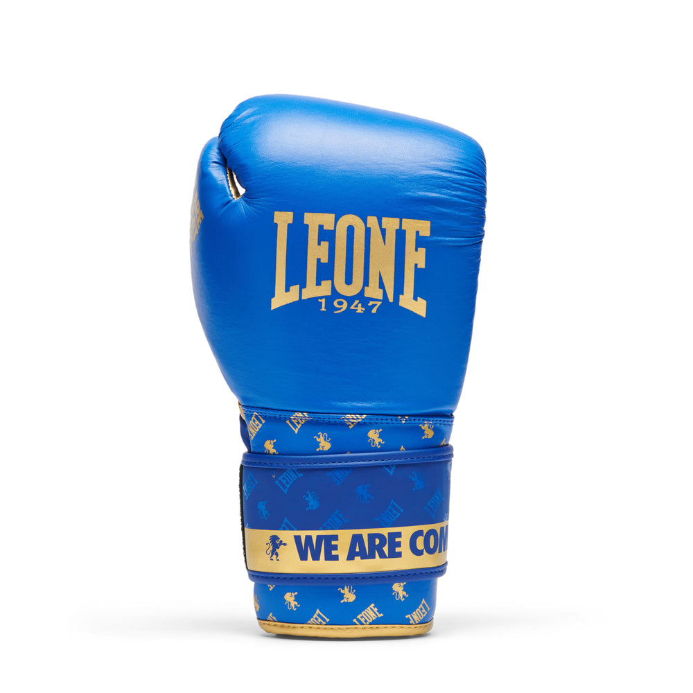 Leone GN220 Boxhandschuhe DNA