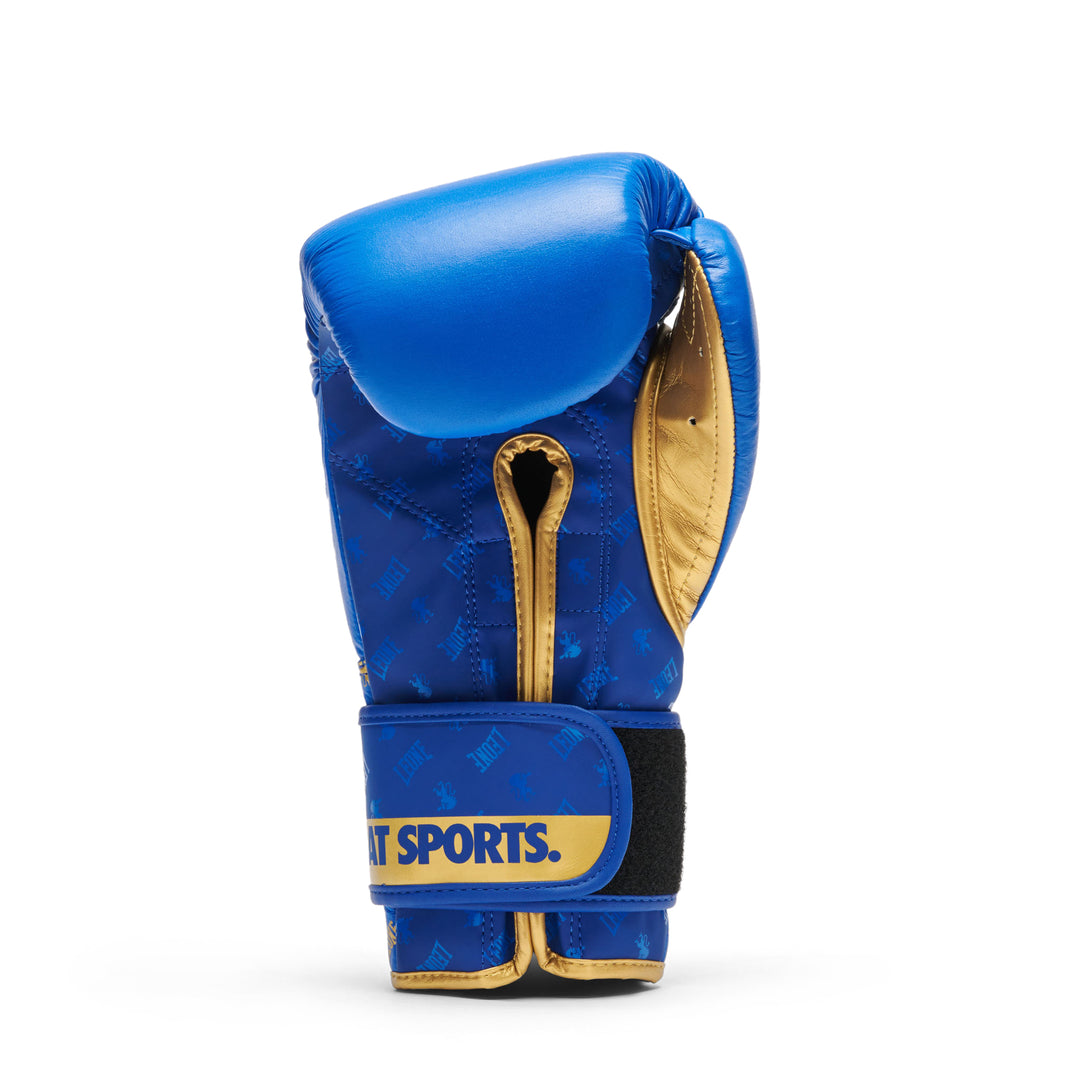 Leone GN220 Boxhandschuhe DNA