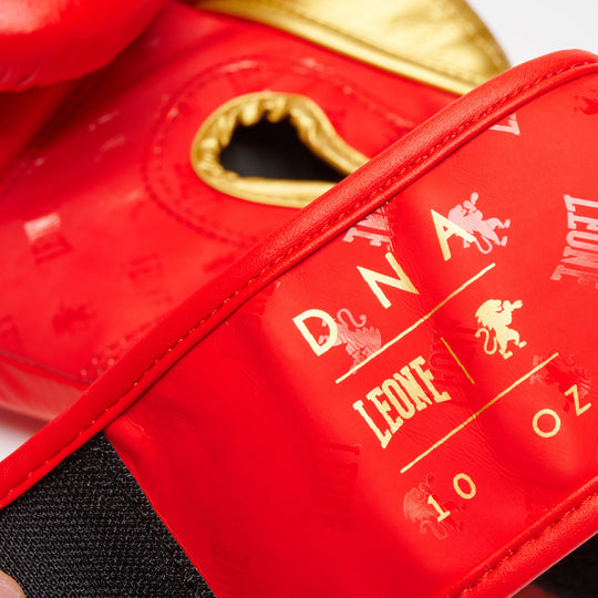 Leone GN220 Boxhandschuhe DNA