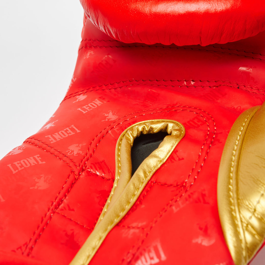 Leone GN220 Boxhandschuhe DNA