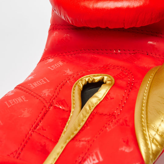 Leone GN220 Boxhandschuhe DNA