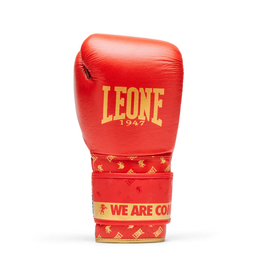 Leone GN220 Boxhandschuhe DNA