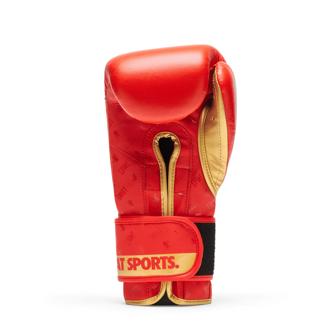 Leone GN220 Boxhandschuhe DNA